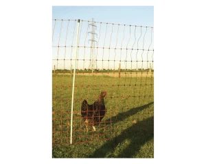 Malla para gallinas 50 m x 1,12 m para corral