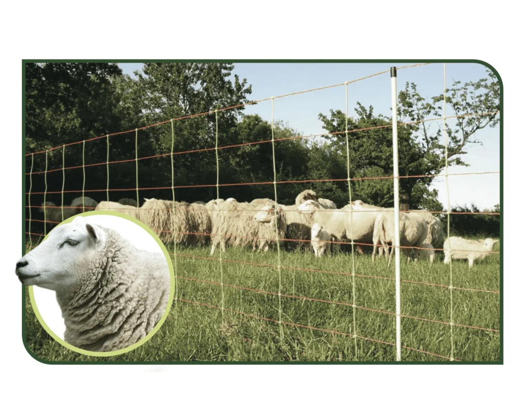 Malla para ovejas 50 m x 0,90 m reforzada
