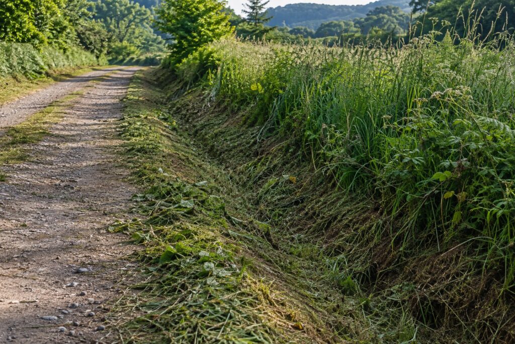 Borde de un camino rural con la cuneta recién desbrozada y hierba alta más adelante