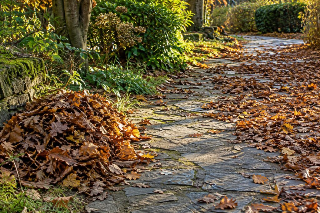Camino de piedra en un jardín en otoño, a medio limpiar de hojas secas amontonadas a un lado