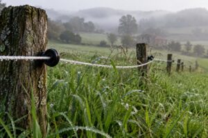 Hilo de pastor eléctrico con hierba alta tocándolo en un prado verde, con aisladores sobre postes de madera