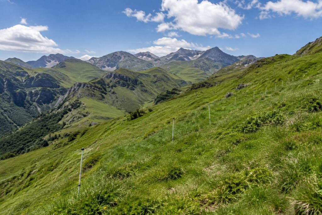 Prado de montaña aislado en Cantabria, sin tendido eléctrico, cercado con hilo sobre postes de fibra de vidrio